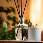 Parfum pour Diffuseur Élixir Oriental