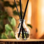 Parfum pour Diffuseur Élixir Oriental