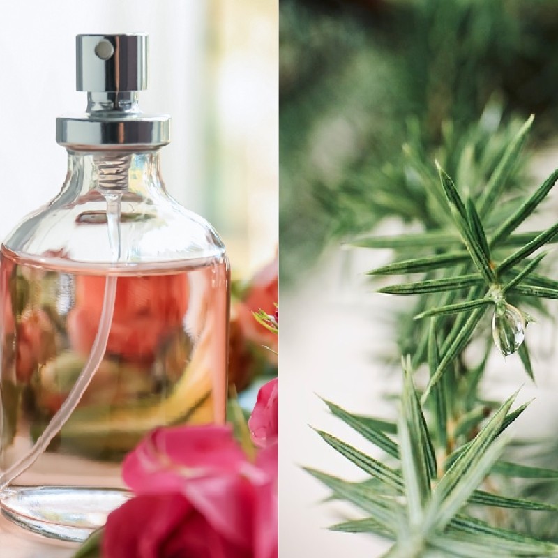 Parfum Spray Cèdre Princier