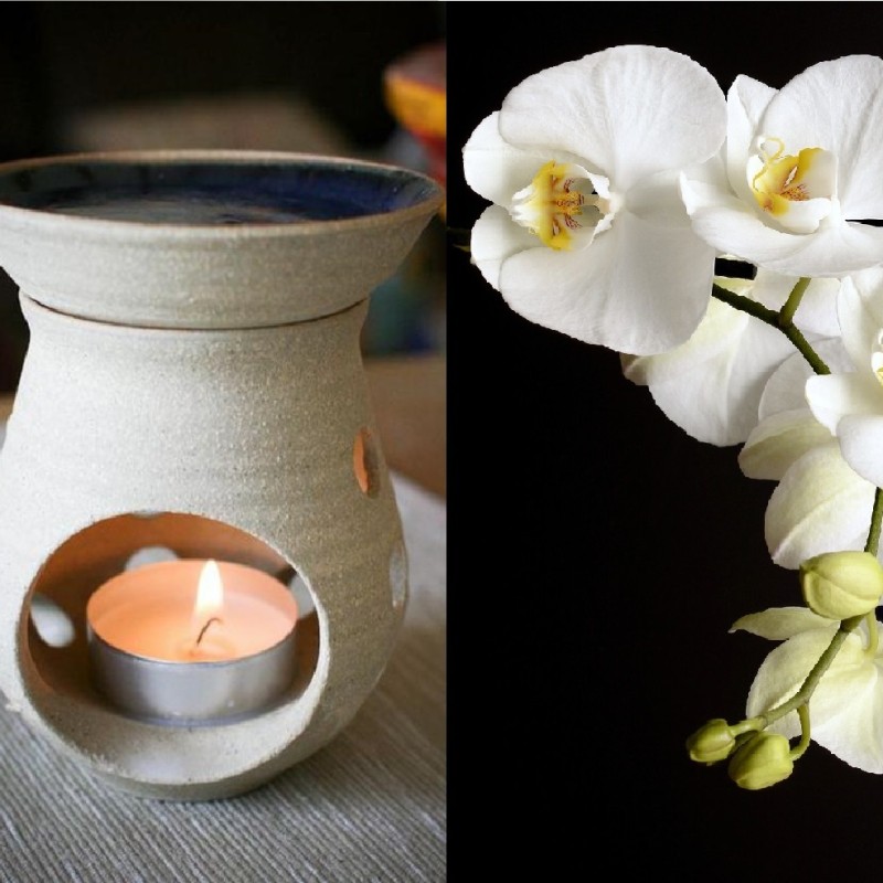 Fondants Parfumés Fleur de Peau
